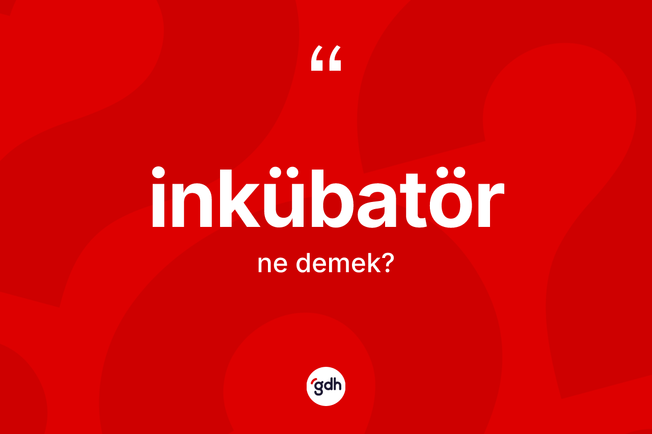 İnkübatör kelimesi ne anlama gelir? İnkübatörün kısaca tanımı nedir?