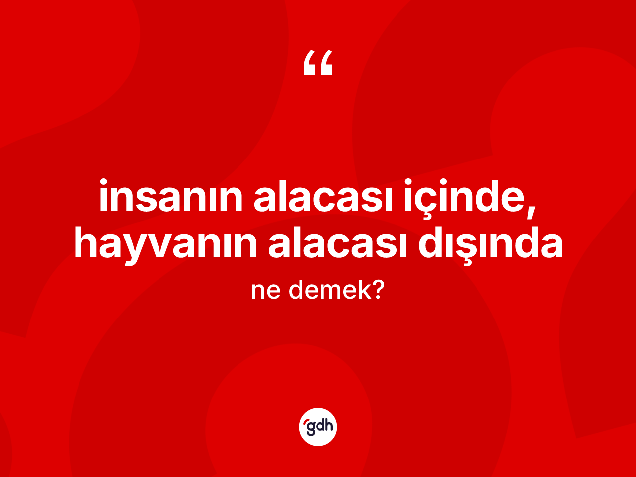 İnsanın alacası içinde, hayvanın alacası dışında ifadesinin sözlükteki anlamı nedir? İnsanın alacası içinde, hayvanın alacası dışında ifadesi hangi durumlarda kullanılır?