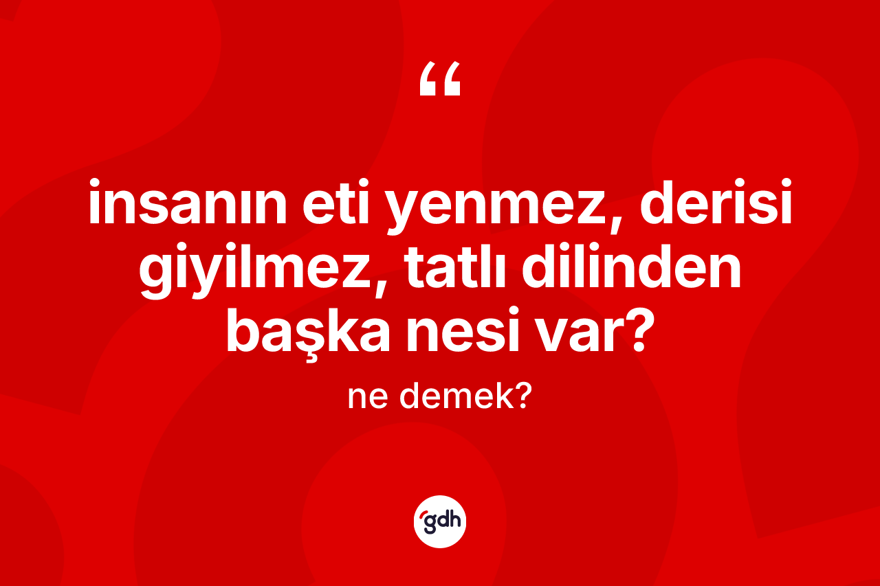 İnsanın eti yenmez, derisi giyilmez, tatlı dilinden başka nesi var? deyimi ne anlama gelir? İnsanın eti yenmez, derisi giyilmez, tatlı dilinden başka nesi var? ifadesi hangi durumlarda kullanılır