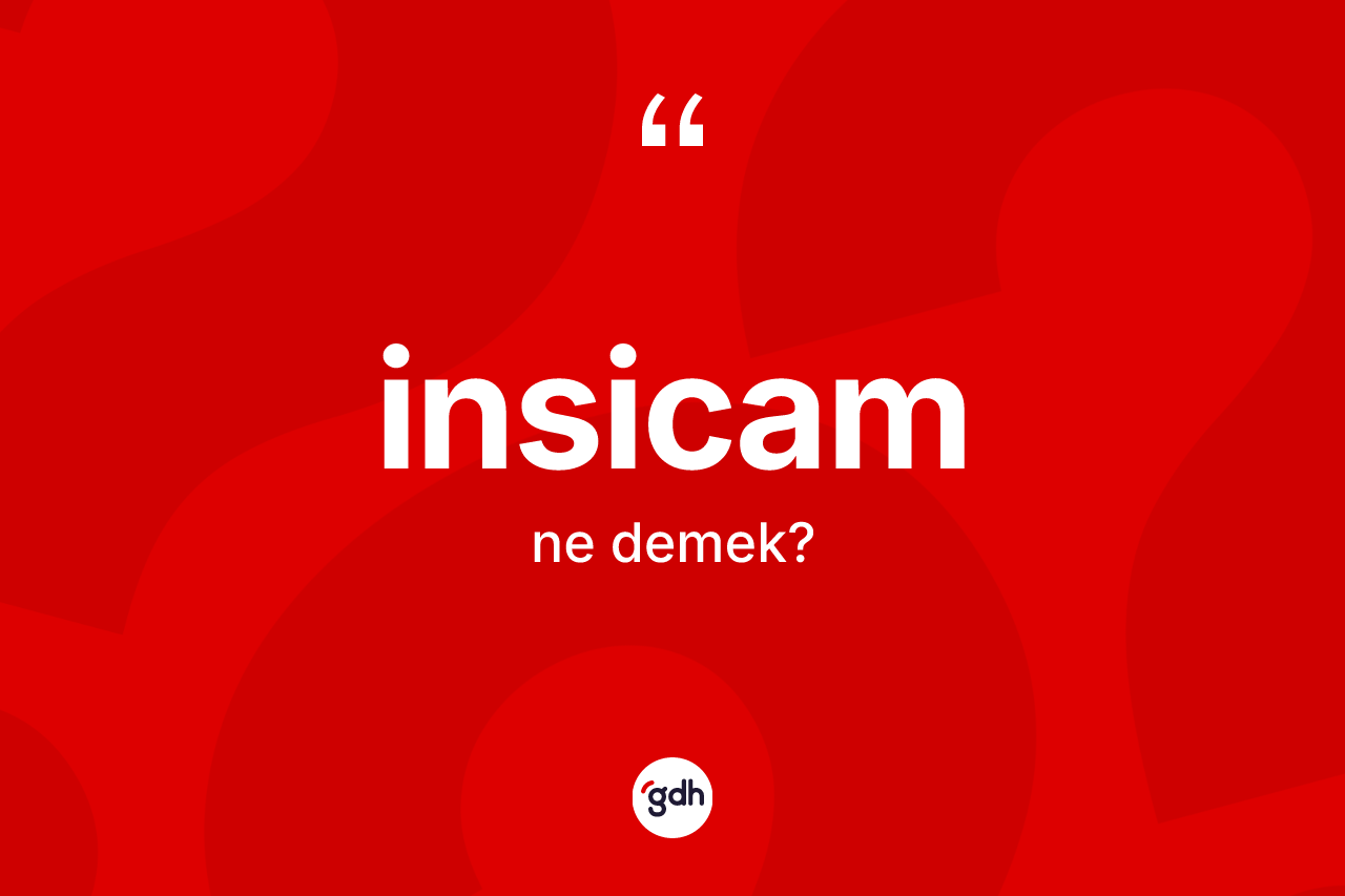İnsicam kelimesinin tanımı nedir?
