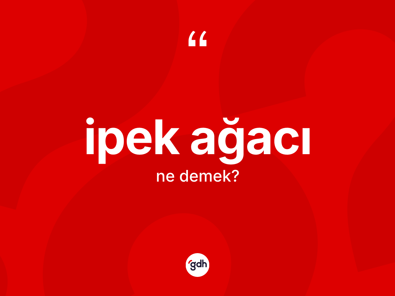İpek ağacı ne anlama gelir? İpek ağacının sözlükteki anlamı nedir?