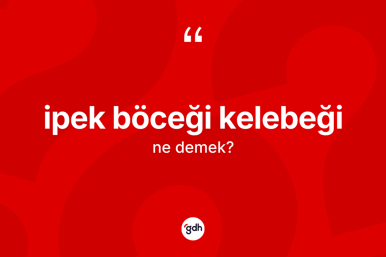 İpek böceği kelebeği kelimesi ne anlama gelir? İpek böceği kelebeğinin TDK'ya göre anlamı nedir?