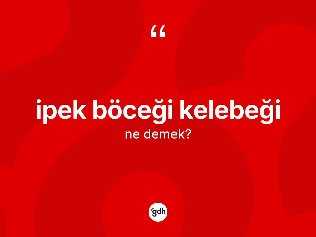 İpek böceği kelebeği kelimesi ne anlama gelir? İpek böceği kelebeğinin TDK'ya göre anlamı nedir?