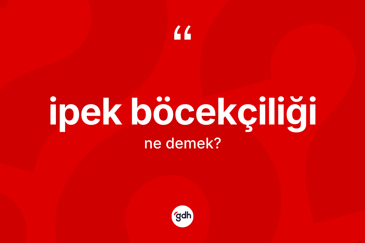 İpek böcekçiliği kelimesinin tanımı nedir? İpek böcekçiliğinin TDK'ya göre anlamı nedir?