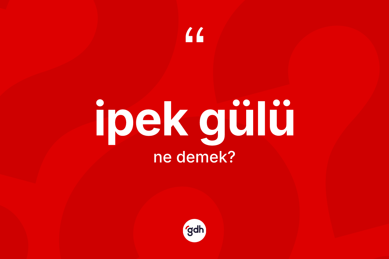 İpek gülü kelimesinin sözlükteki tanımı nedir? İpek gülü kelimesinin TDK'ya göre açıklaması nedir?