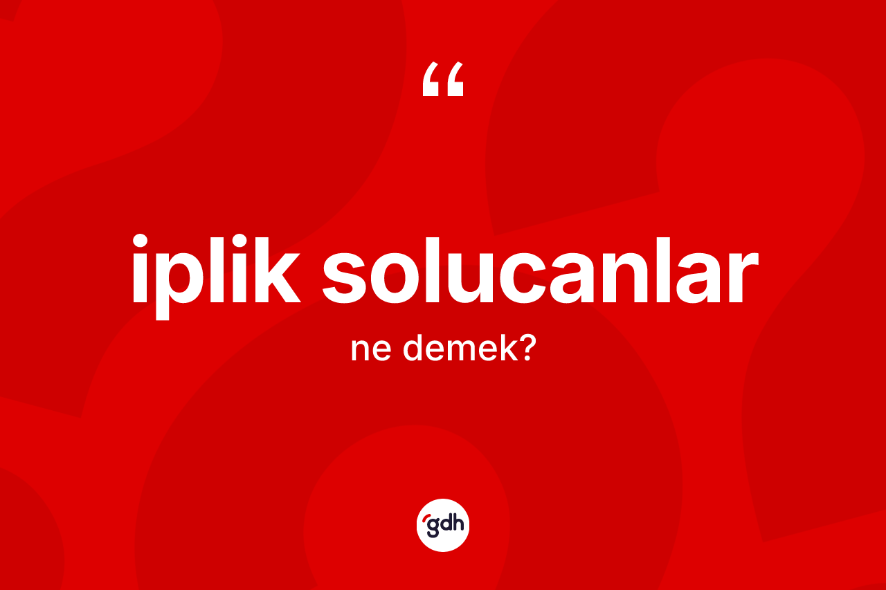İplik solucanlar kelimesinin tanımı nedir? İplik solucanların TDK'ya göre anlamı nedir?