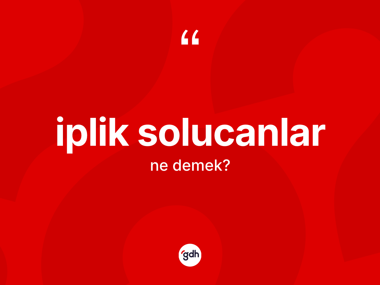 İplik solucanlar kelimesinin tanımı nedir? İplik solucanların TDK'ya göre anlamı nedir?
