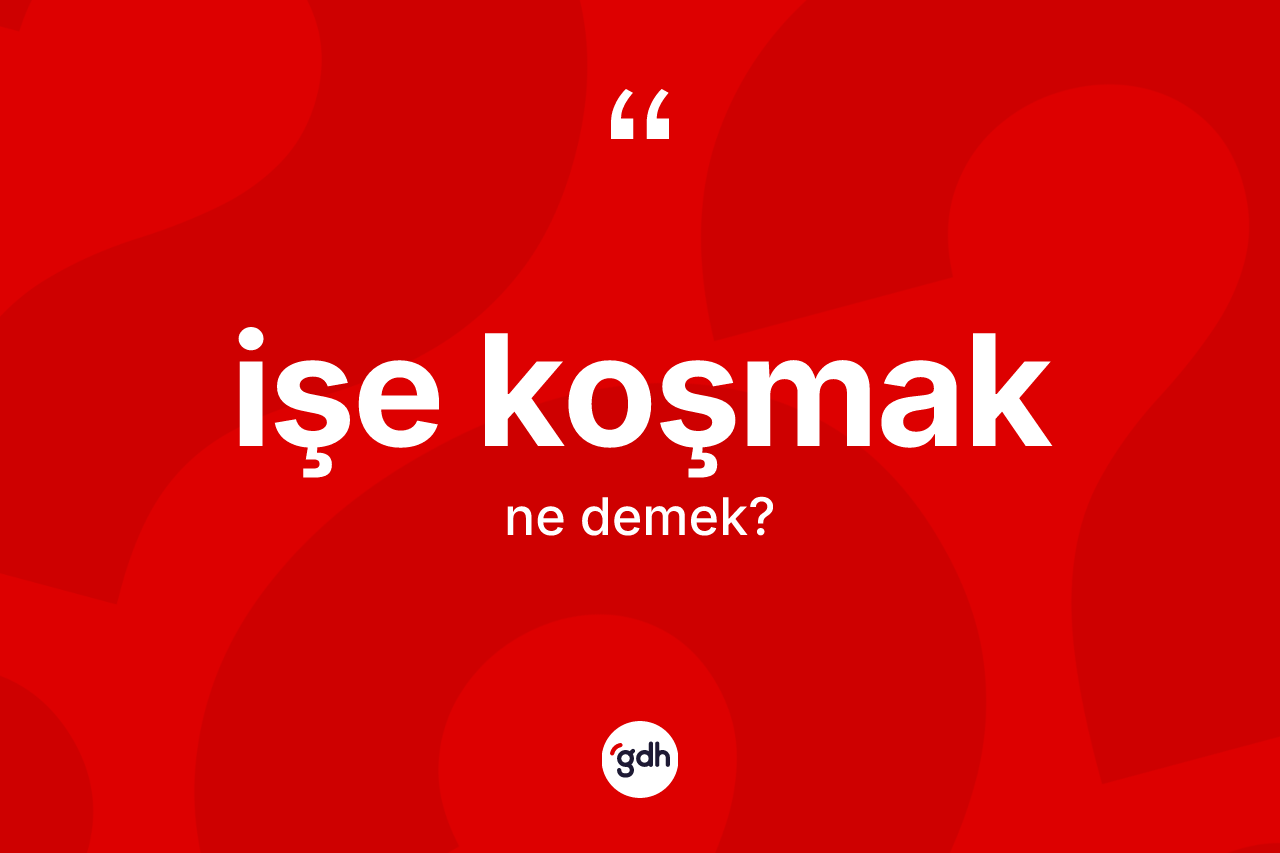 İşe koşmak ifadesinin kısaca tanımı nedir? İşe koşmak ifadesi nerede kullanılır?