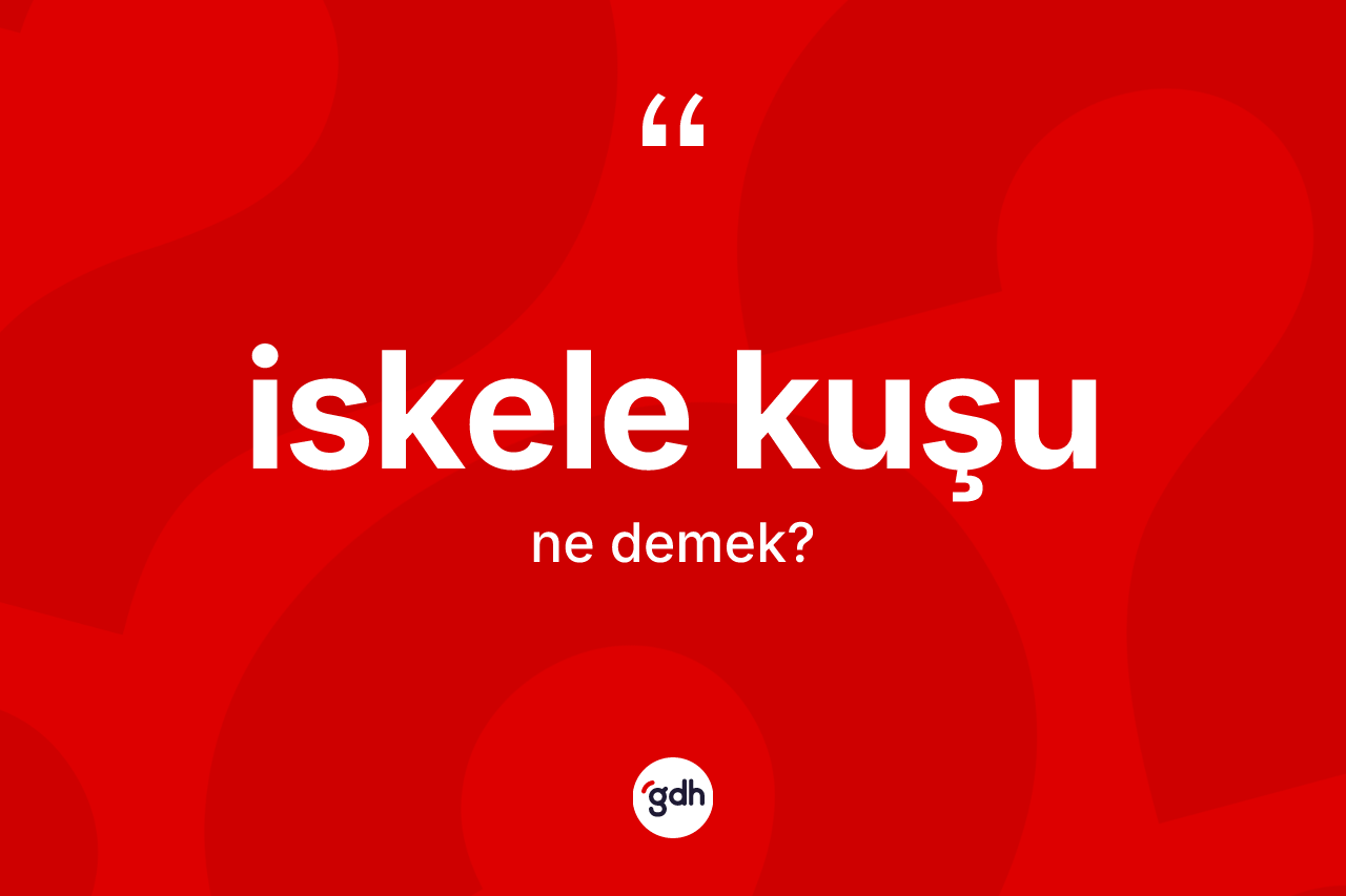 İskele kuşu kelimesinin sözlükteki tanımı nedir? İskele kuşunun TDK'ya göre anlamı nedir?