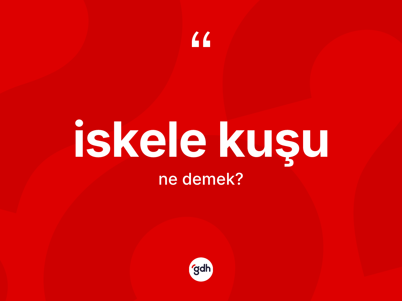 İskele kuşu kelimesinin sözlükteki tanımı nedir? İskele kuşunun TDK'ya göre anlamı nedir?