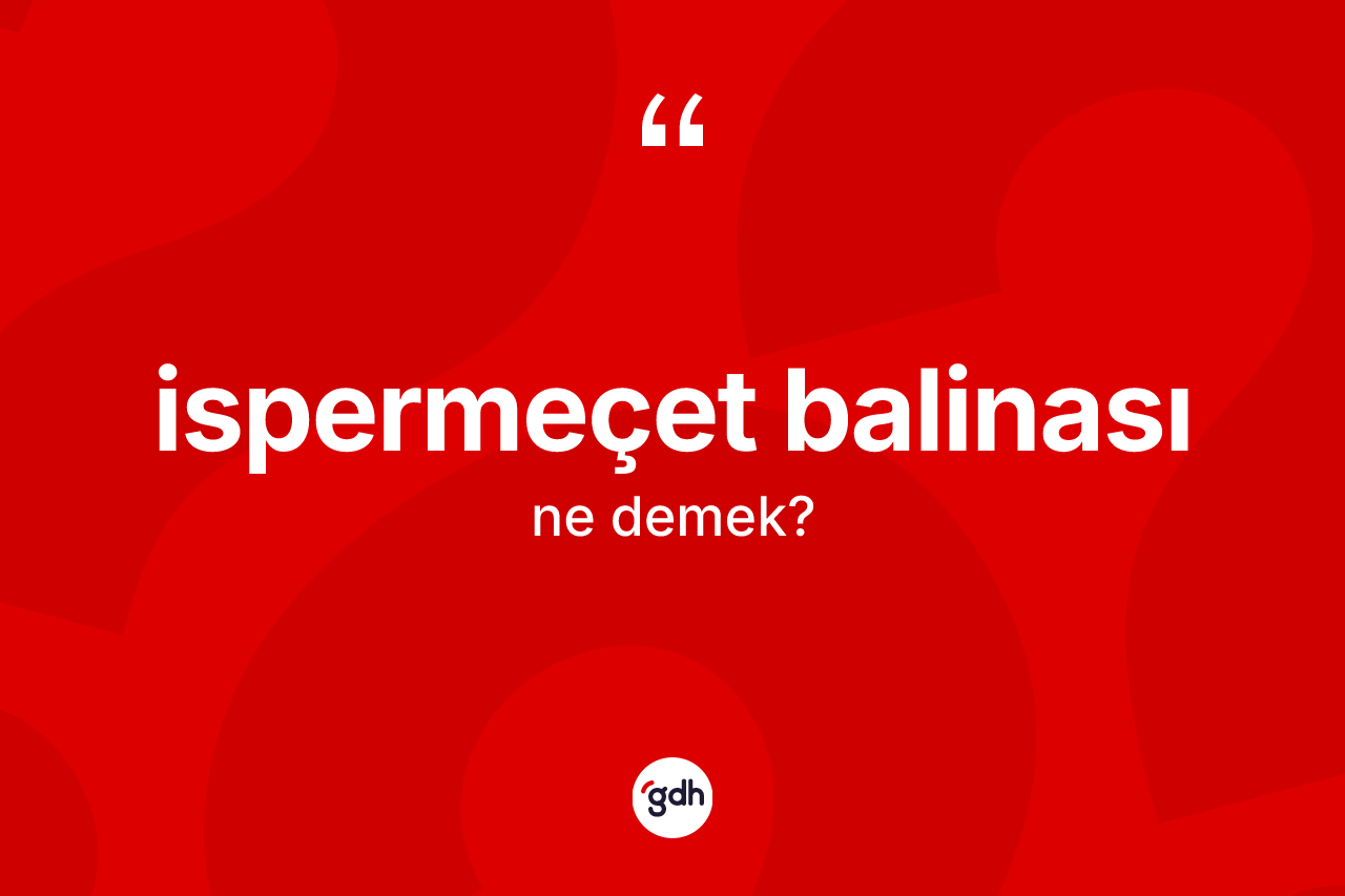 İspermeçet balinası ne anlama gelir? İspermeçet balinası kelimesinin TDK'ya göre açıklaması nedir?