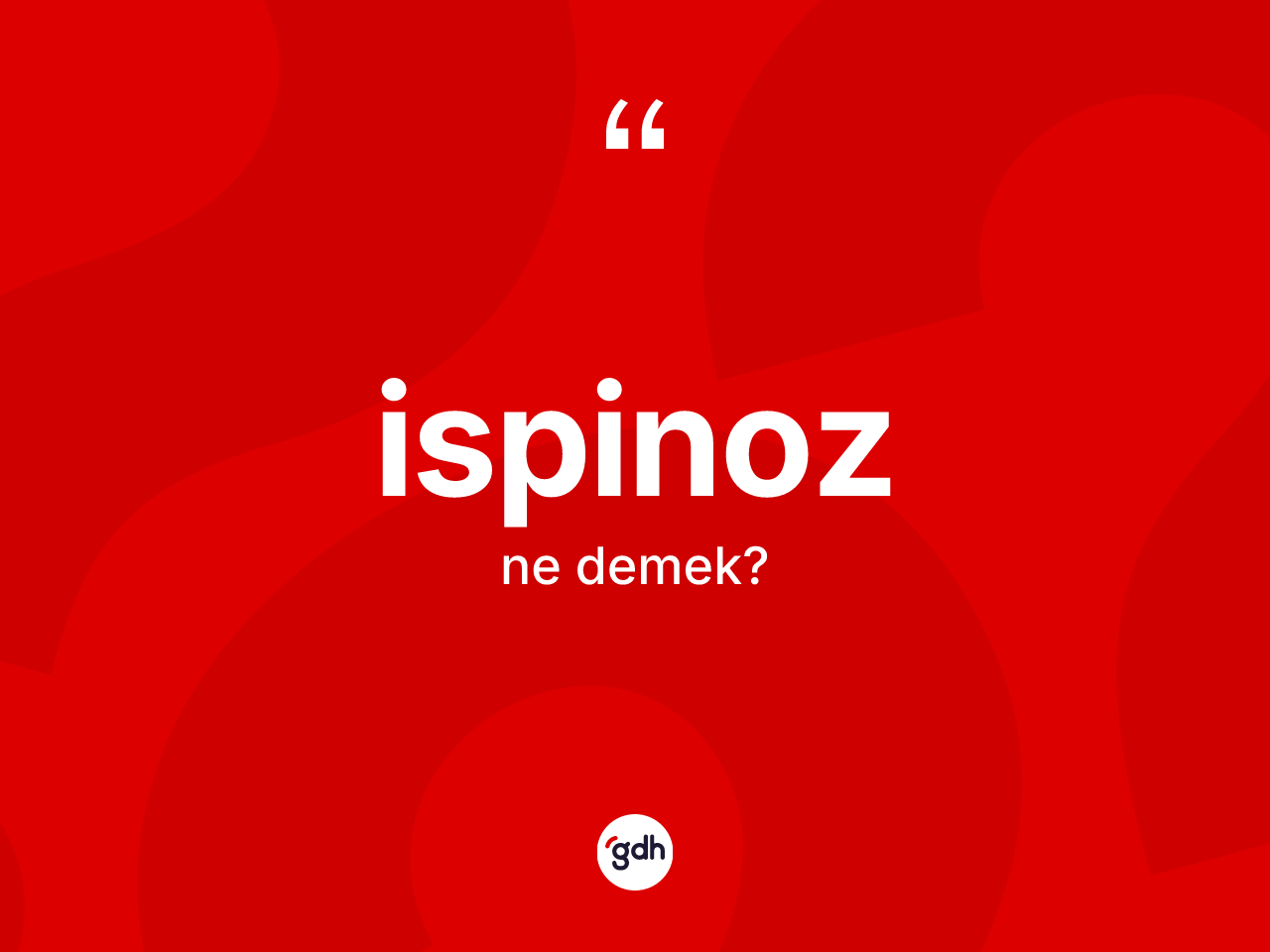İspinoz ne demek? İspinozun TDK'ya göre anlamı nedir?