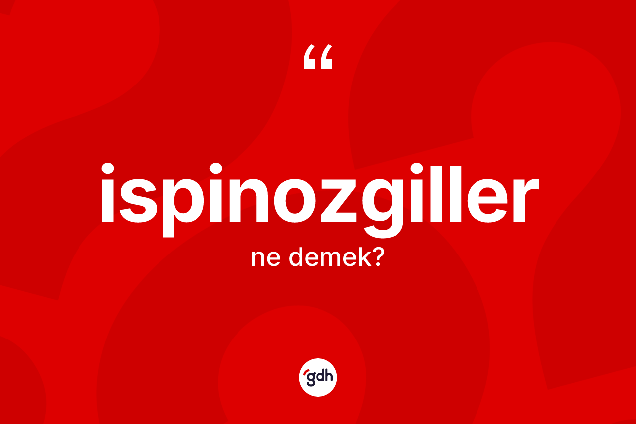 İspinozgiller nedir? İspinozgillerin TDK'ya göre anlamı nedir?