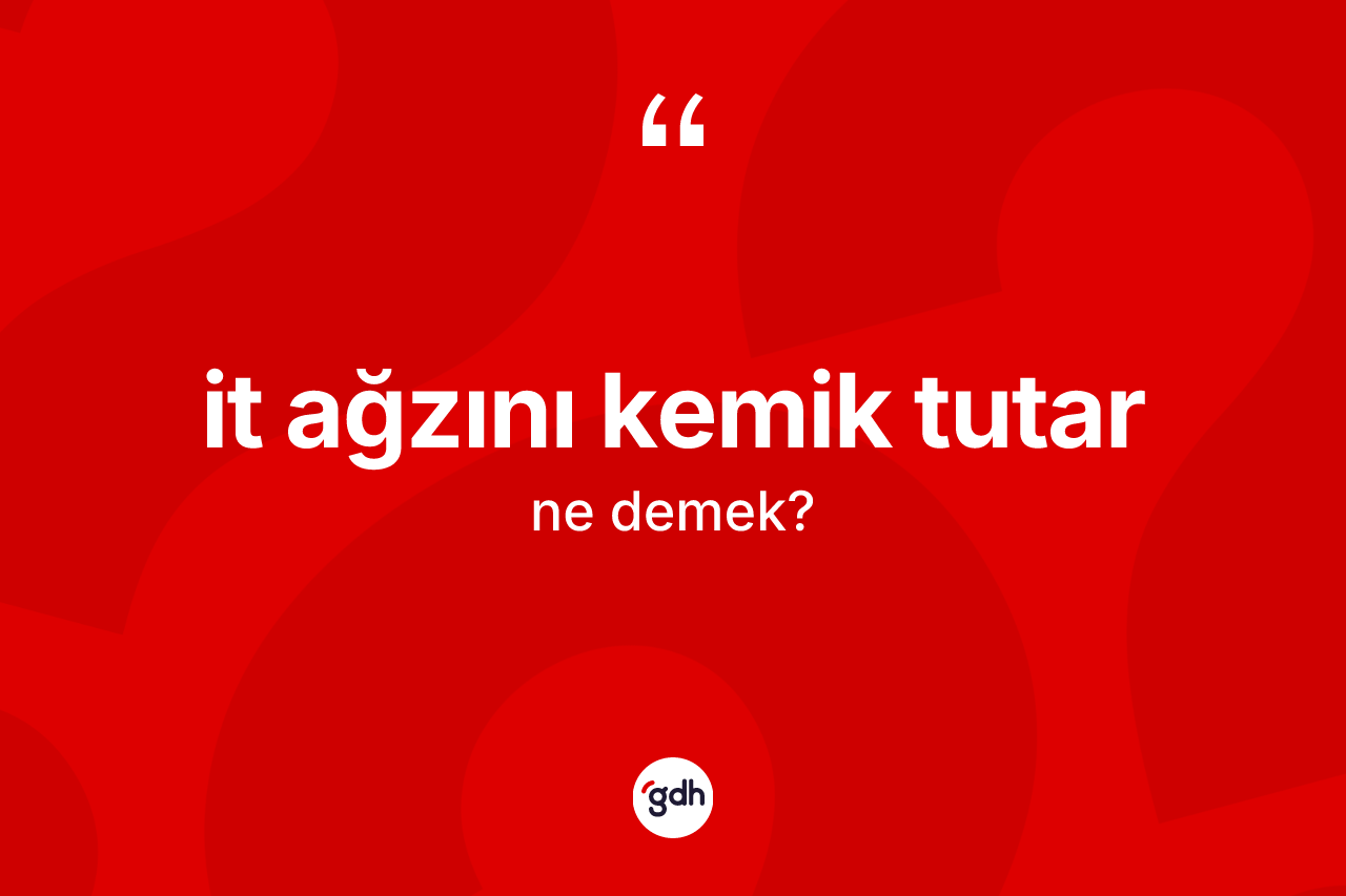 İt ağzını kemik tutar ifadesinin kısaca tanımı nedir?