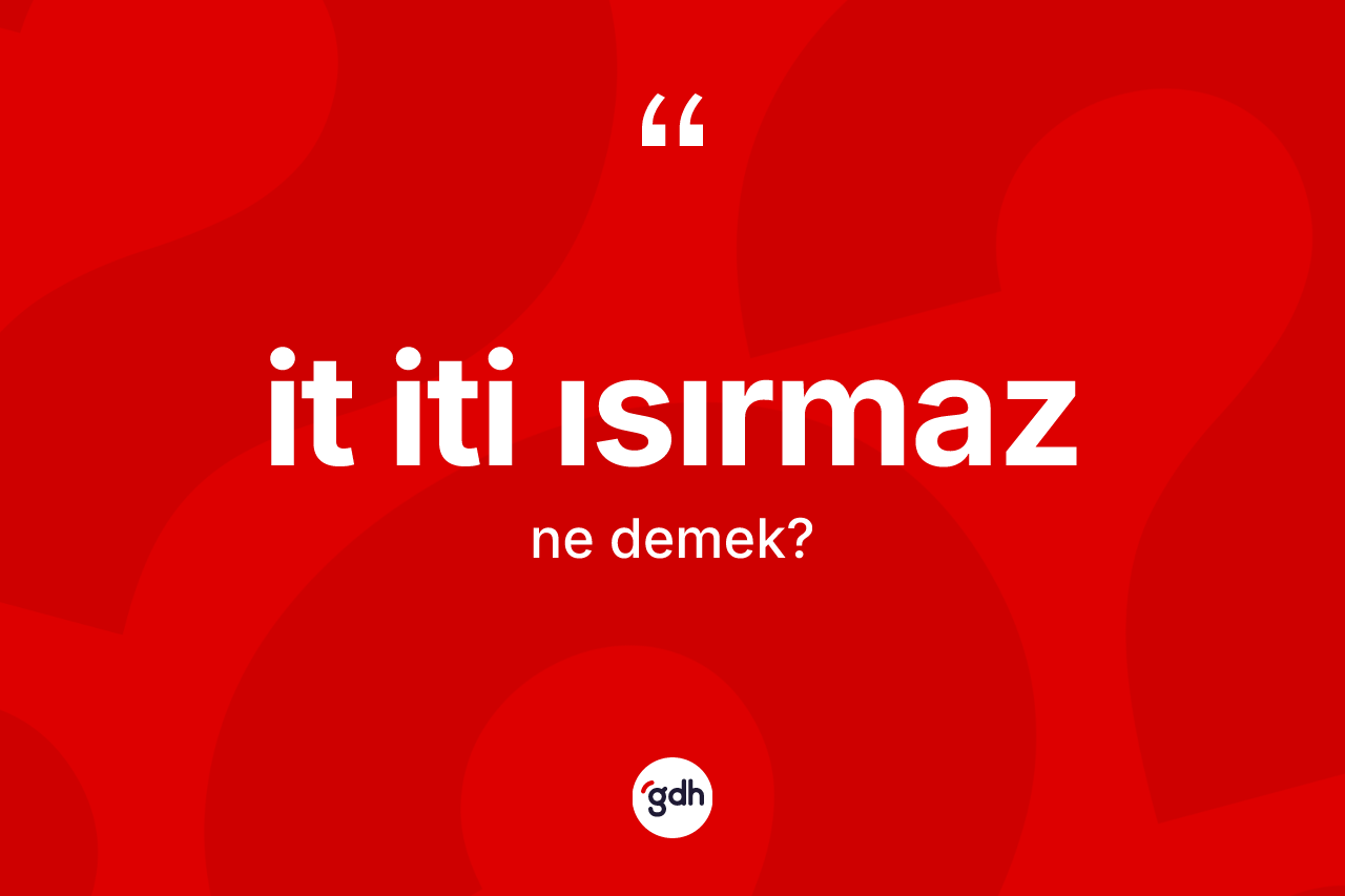 İt iti ısırmaz nedir?