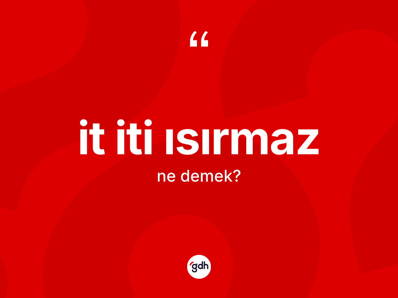 İt iti ısırmaz nedir? İt iti ısırmaz ifadesinin TDK anlamı nedir?