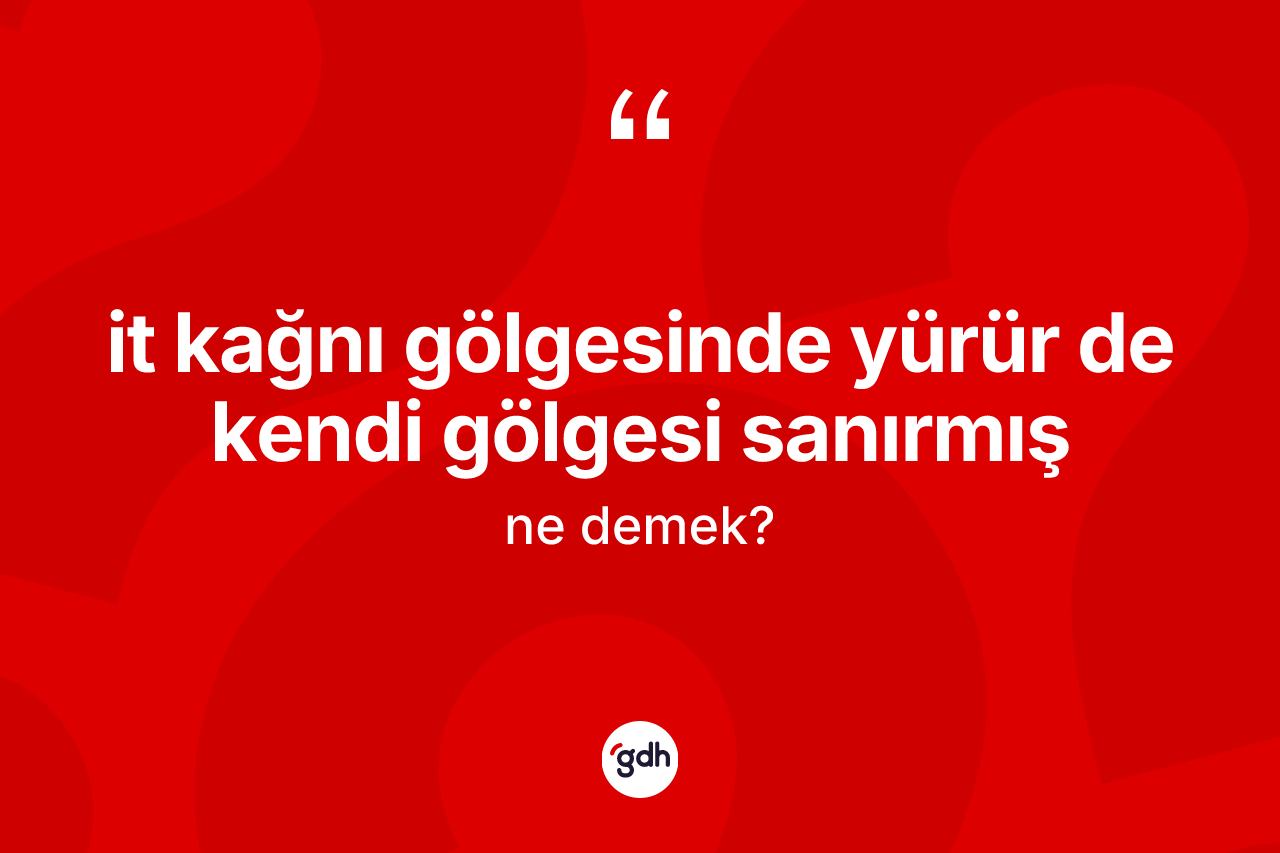 İt kağnı gölgesinde yürür de kendi gölgesi sanırmış sözü nedir?