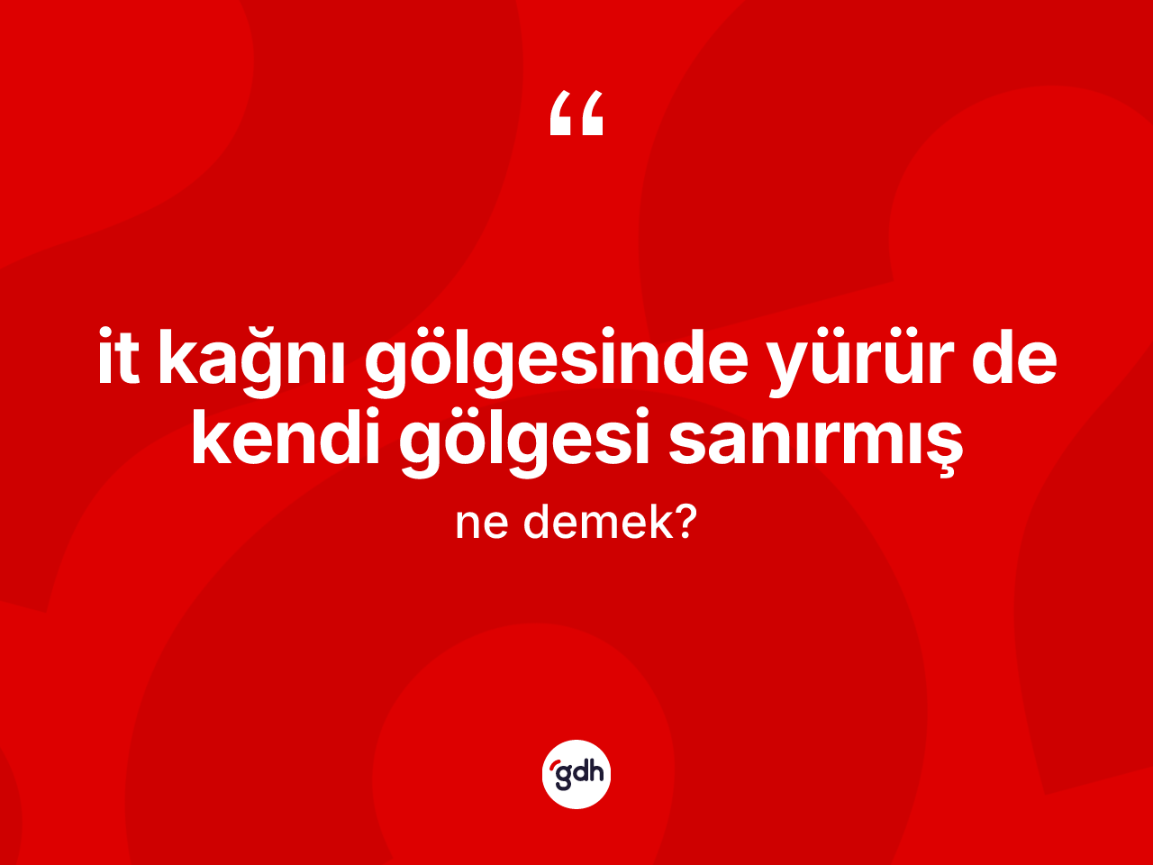 İt kağnı gölgesinde yürür de kendi gölgesi sanırmış sözü nedir? İt kağnı gölgesinde yürür de kendi gölgesi sanırmış sözü hangi durumlarda kullanılır?