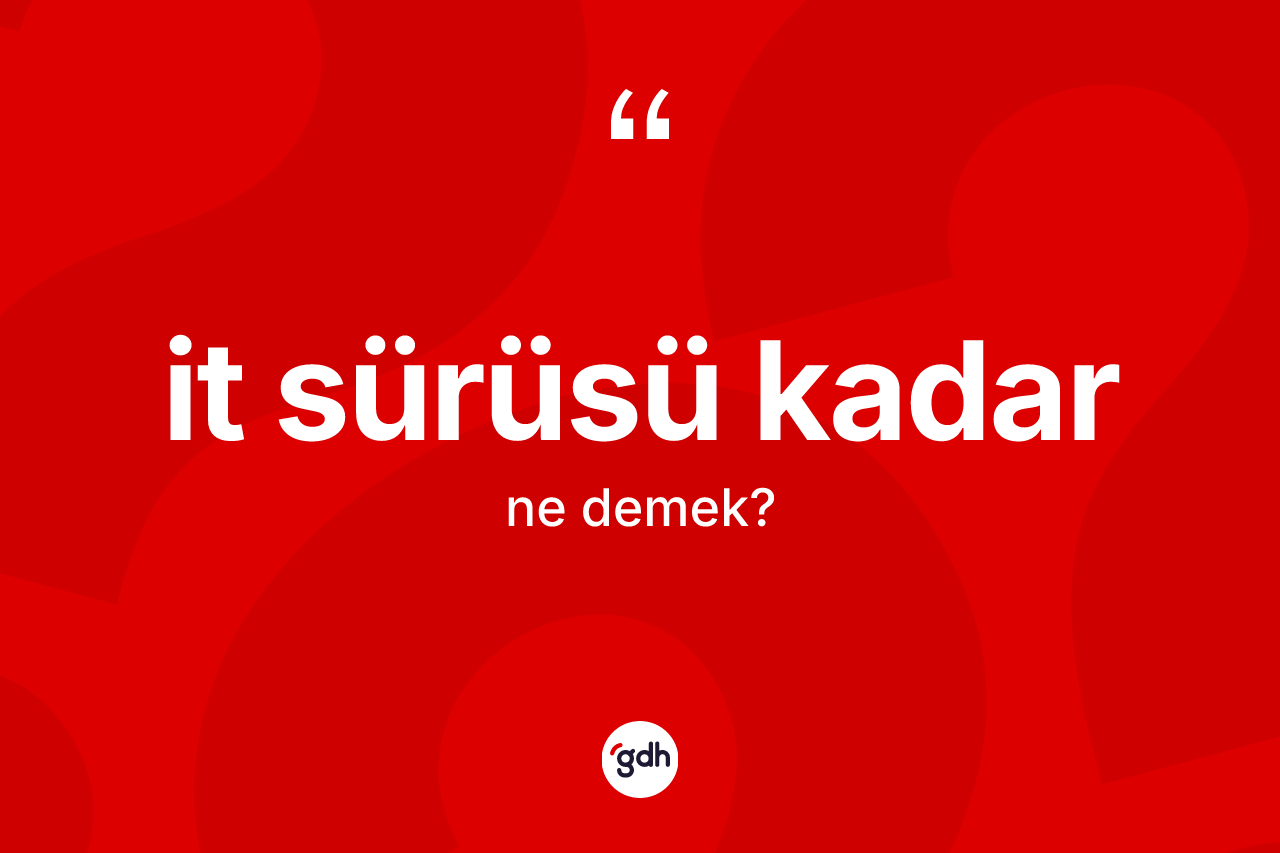 İt sürüsü kadar ifadesi ne demek?