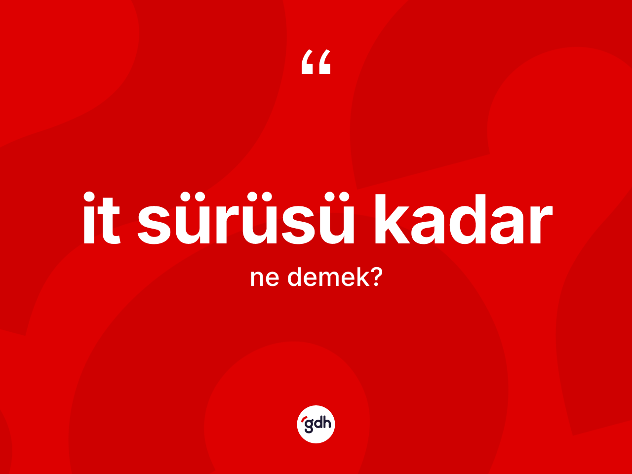 İt sürüsü kadar ifadesi ne demek? İt sürüsü kadar ifadesinin TDK anlamı nedir?