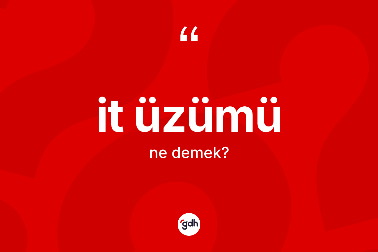 İt üzümü kelimesinin tanımı nedir? İt üzümünün TDK'ya göre anlamı nedir?