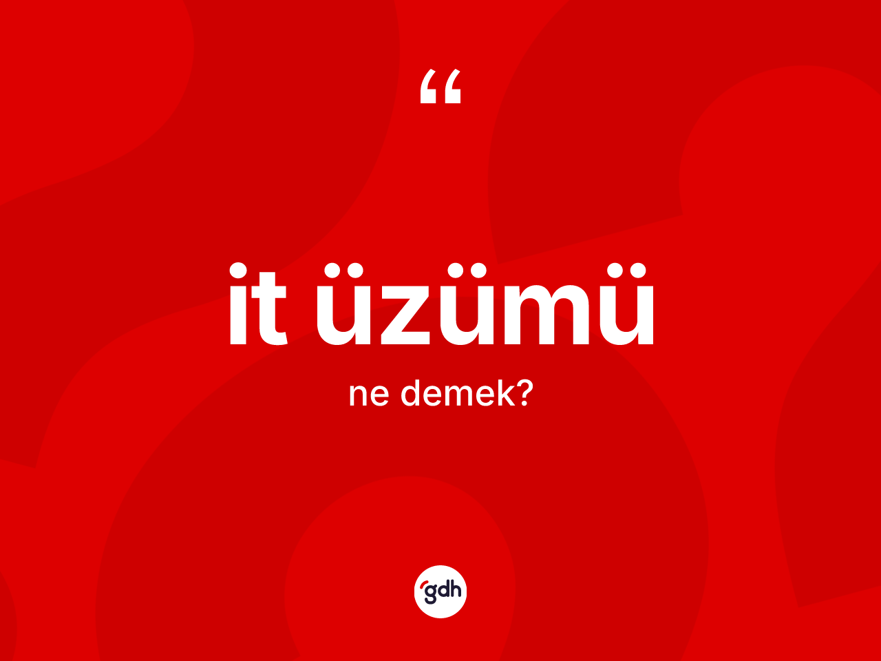 İt üzümü kelimesinin tanımı nedir? İt üzümünün TDK'ya göre anlamı nedir?