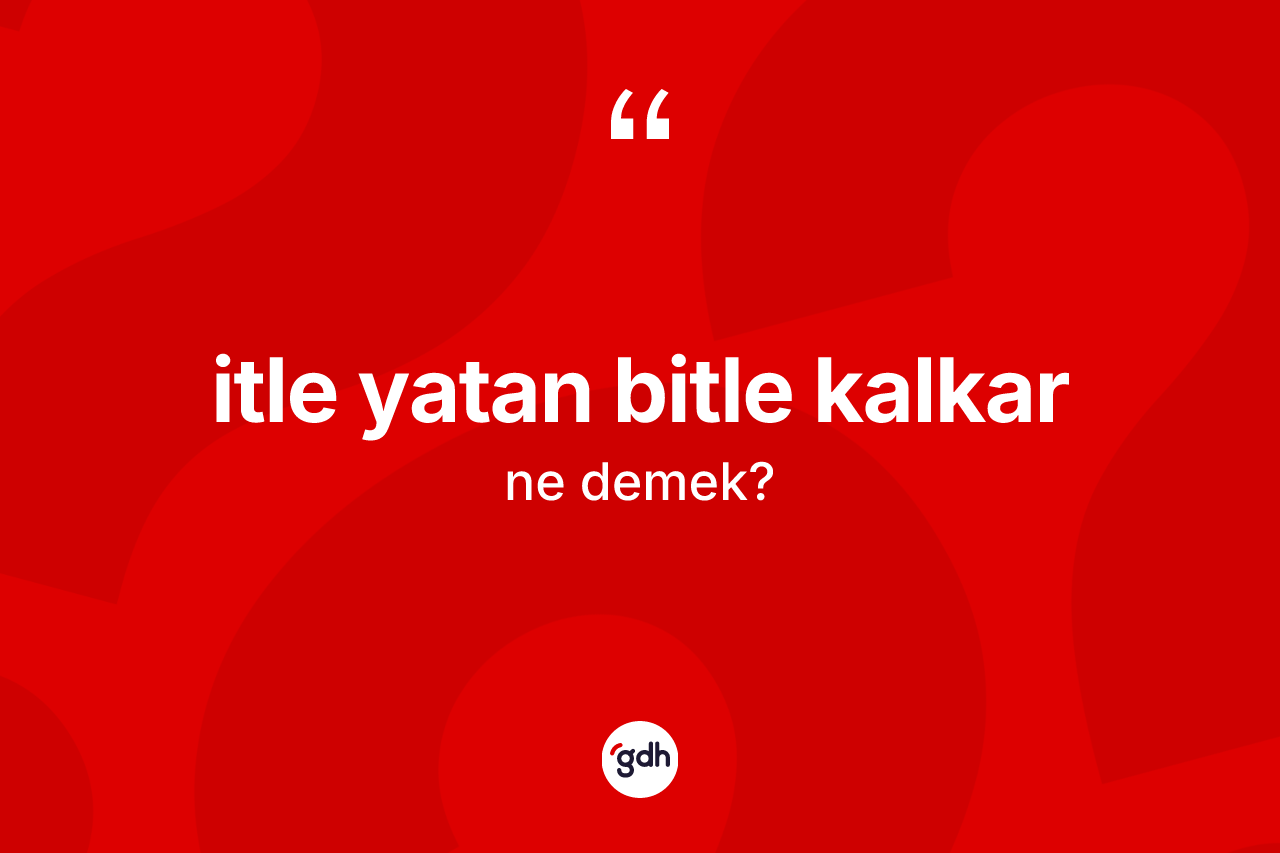 İtle yatan bitle kalkar ifadesinin tanımı nedir?