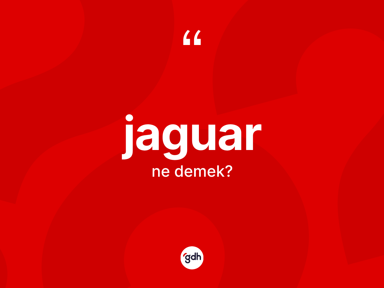Jaguar kelimesinin anlamı nedir? Jaguar kelimesinin özellikleri nelerdir?