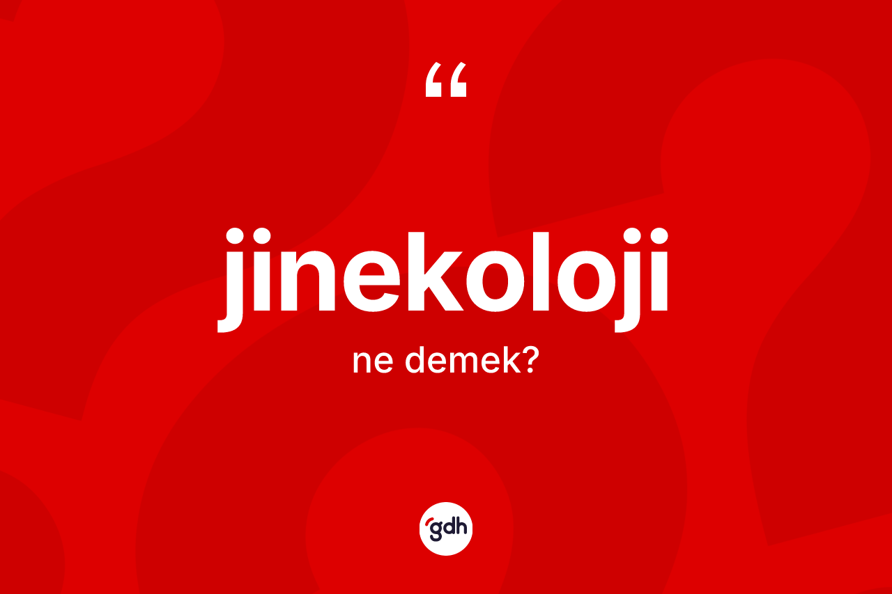 Jinekoloji kelimesi ne anlama gelir? Jinekolojinin kısaca tanımı nedir?