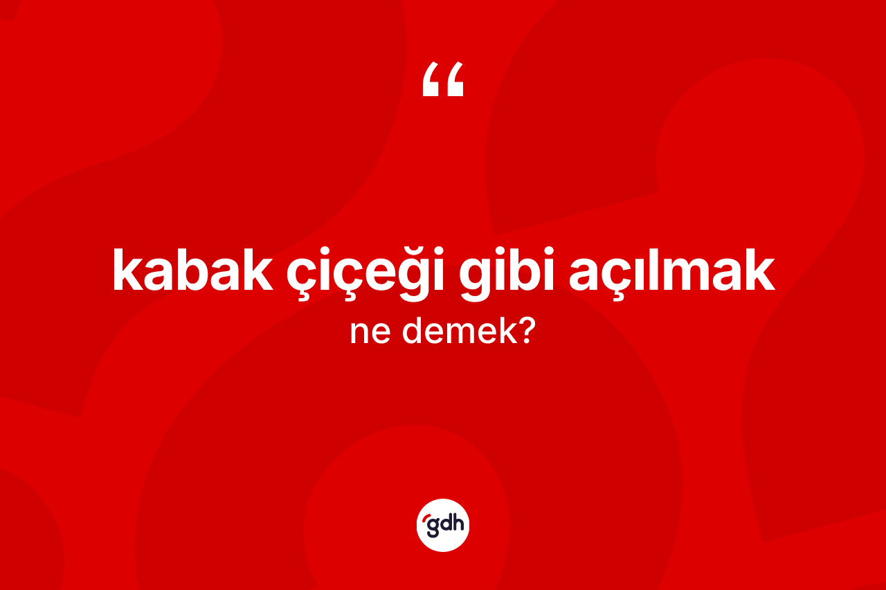 Kabak çiçeği gibi açılmak ifadesinin kısaca tanımı nedir?