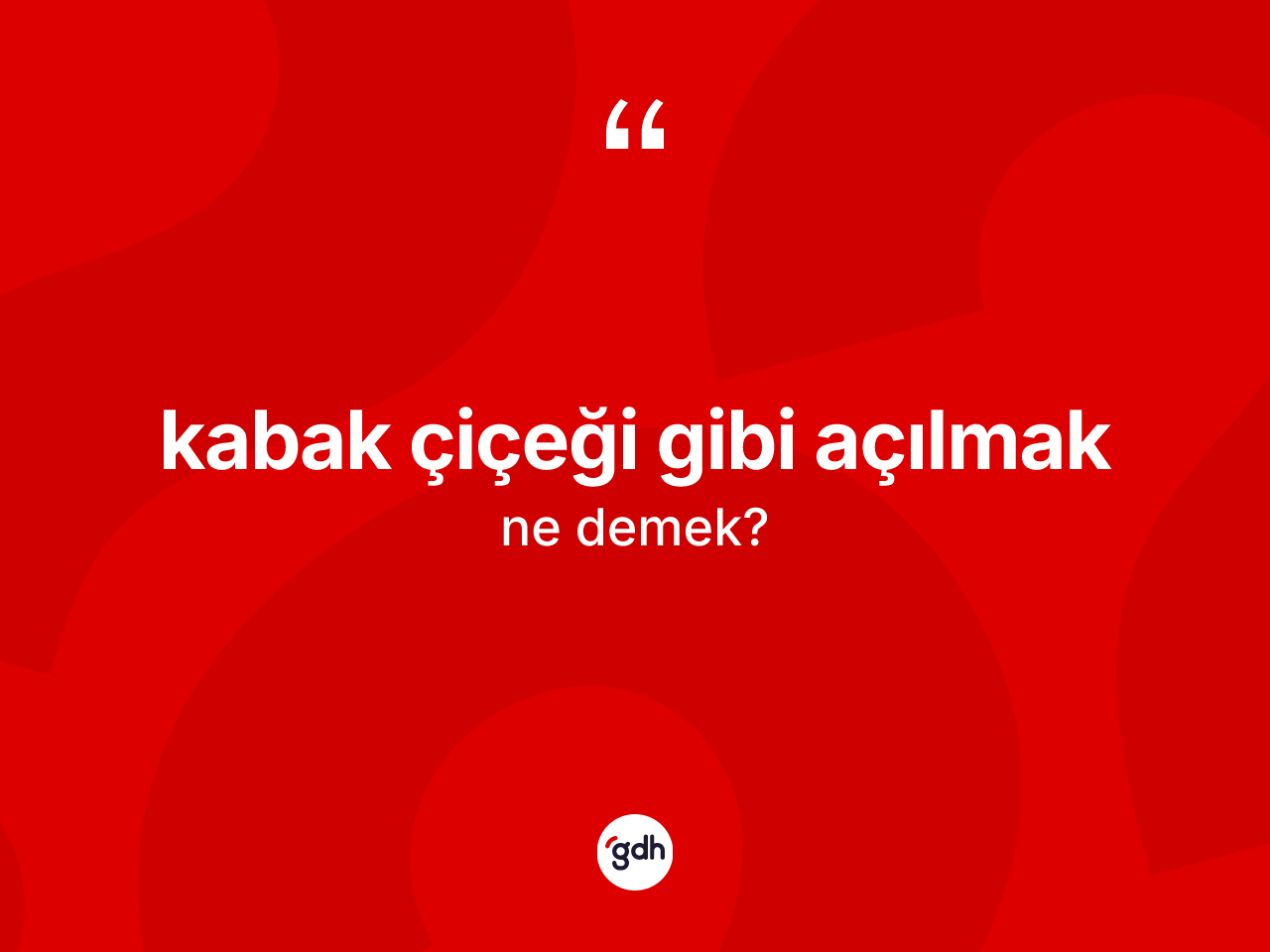 Kabak çiçeği gibi açılmak ifadesinin kısaca tanımı nedir? Kabak çiçeği gibi açılmak ifadesinin TDK'ya göre açıklaması nedir?