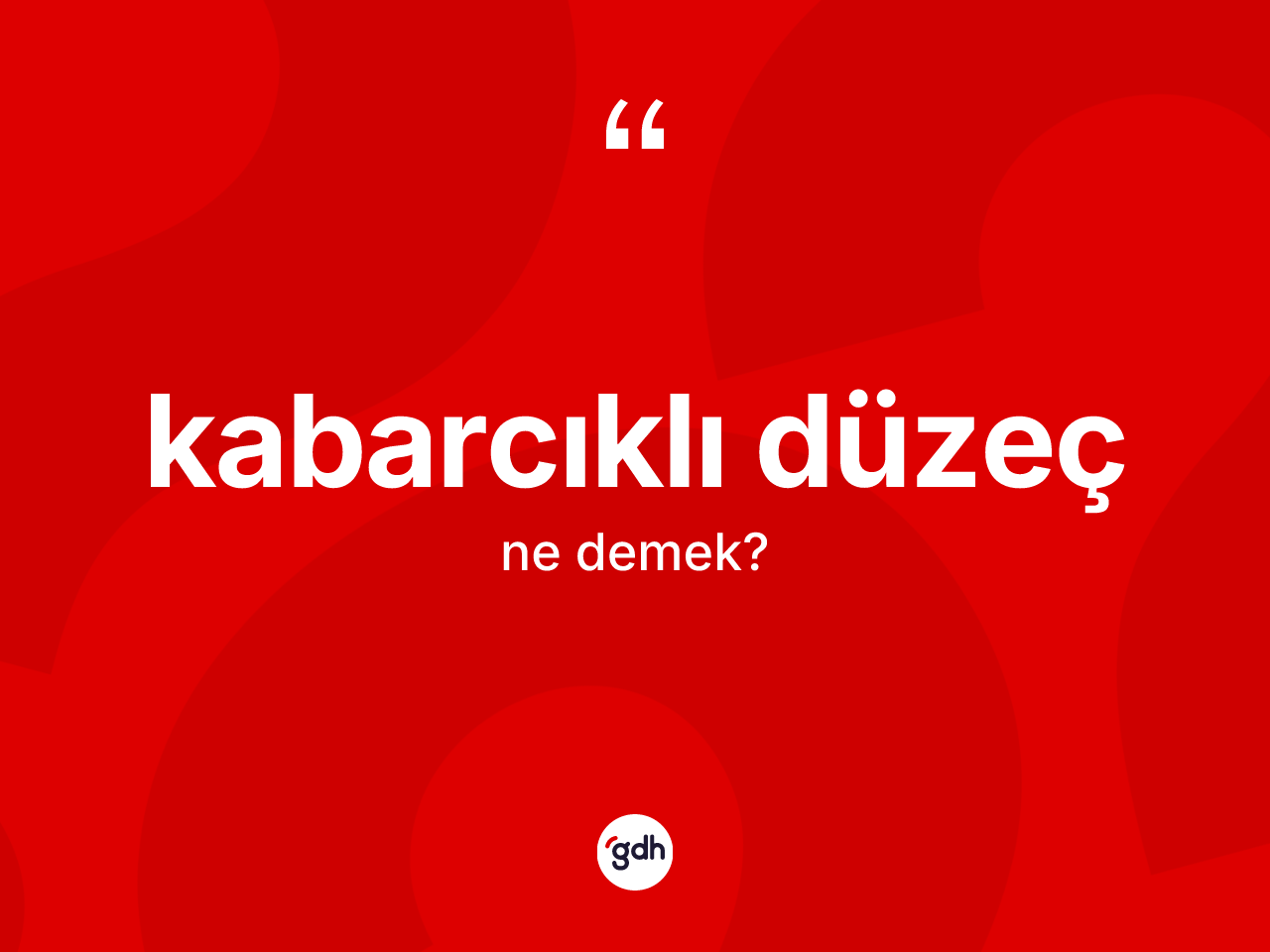 Kabarcıklı düzeç nedir? Kabarcıklı düzeç kelimesinin TDK'ya göre açıklaması nedir?