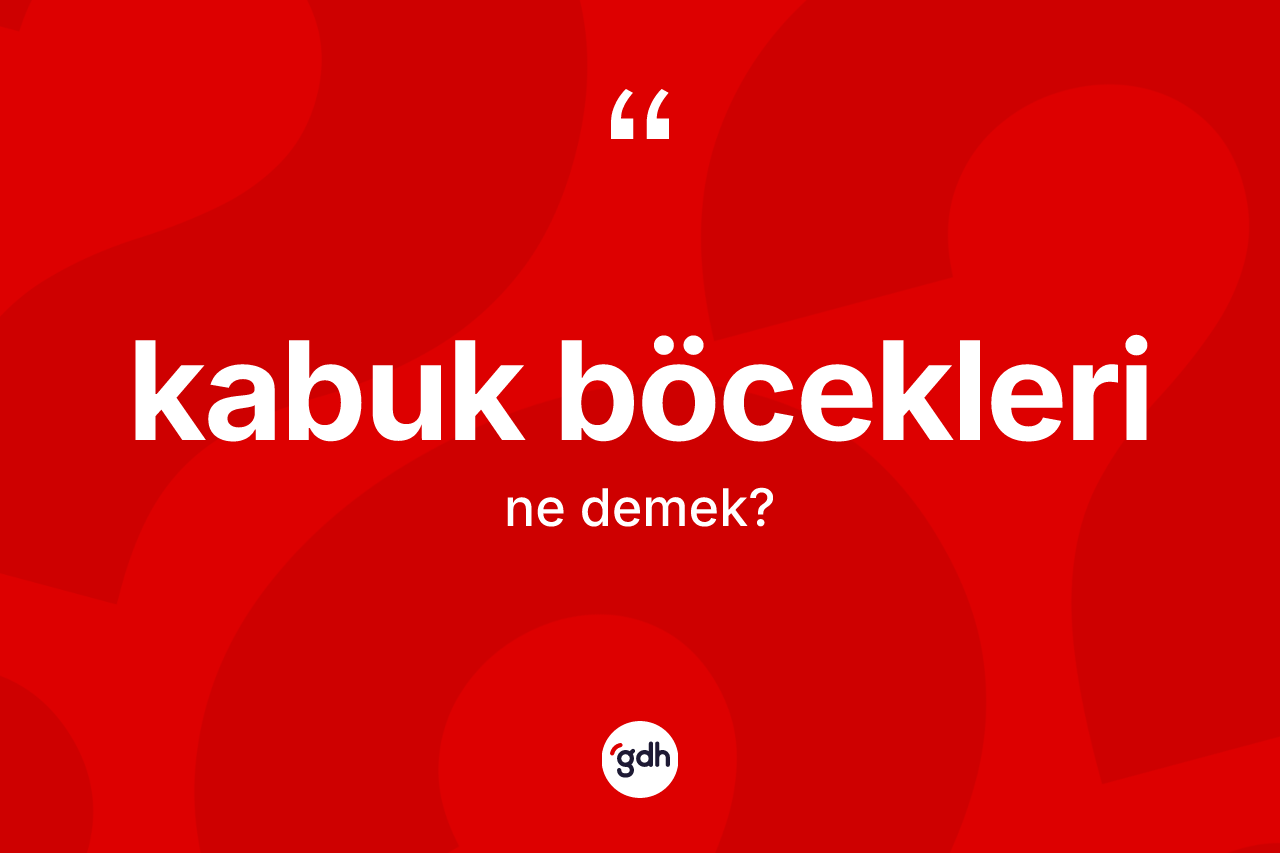 Kabuk böcekleri kelimesi nedir? Kabuk böceklerinin kısaca tanımı nedir?