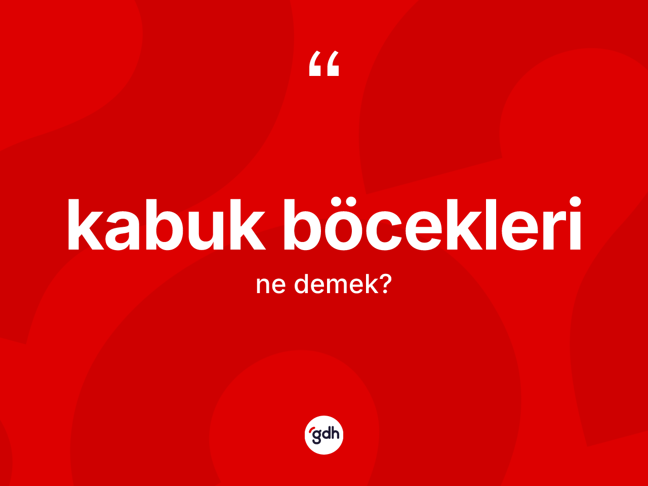 Kabuk böcekleri kelimesi nedir? Kabuk böceklerinin kısaca tanımı nedir?