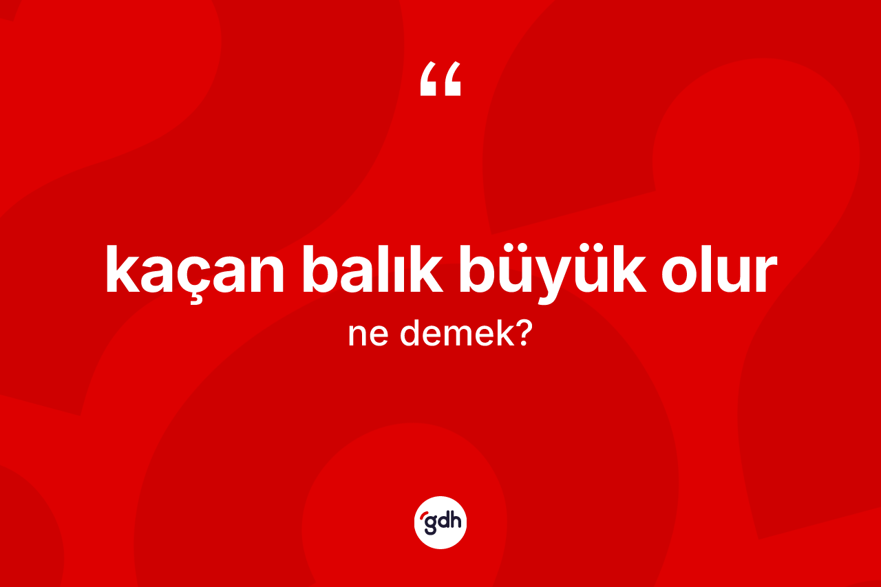 Kaçan balık büyük olur sözü nedir?