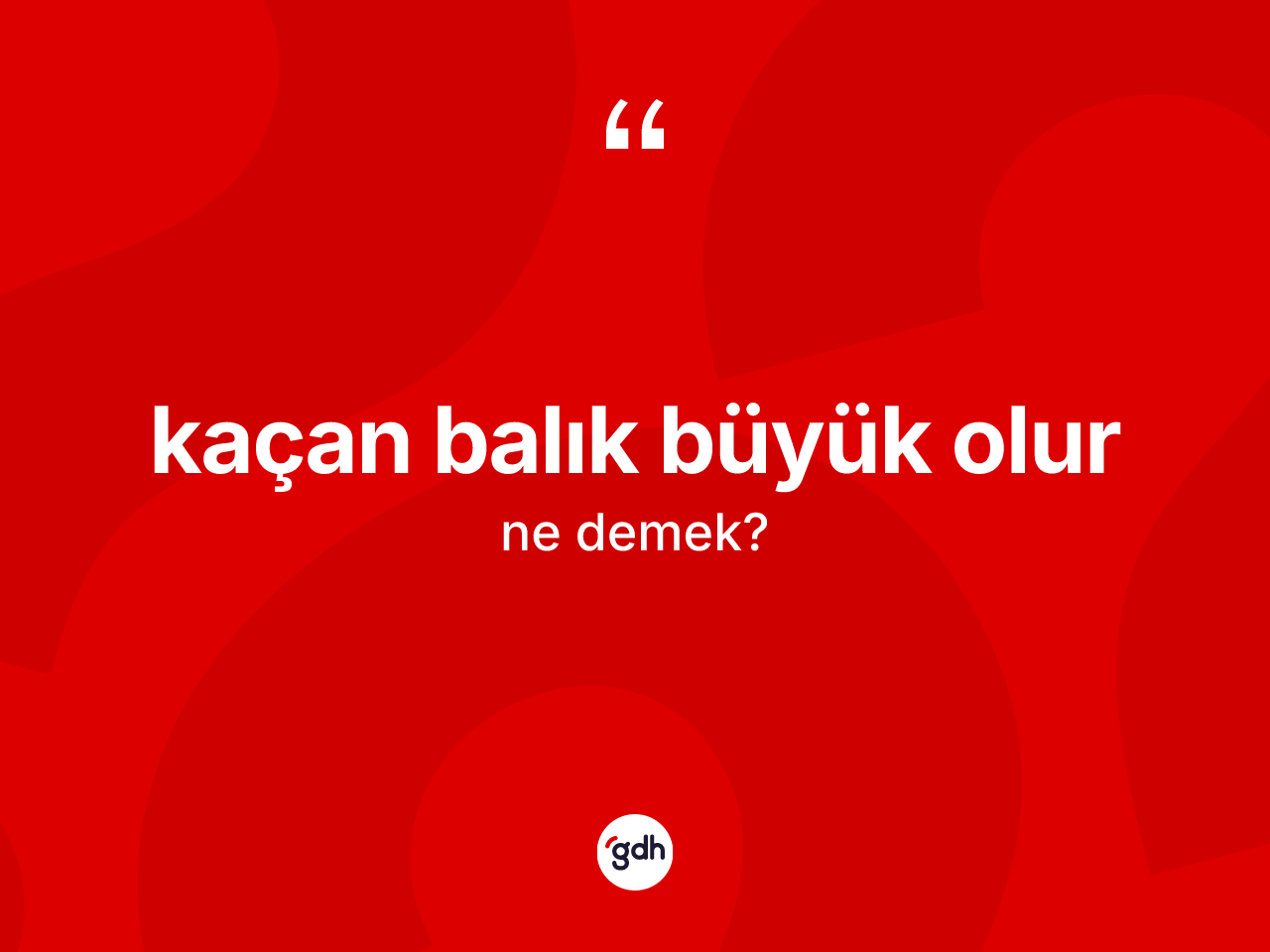Kaçan balık büyük olur sözü nedir? Kaçan balık büyük olur ifadesinin TDK açıklaması nedir?