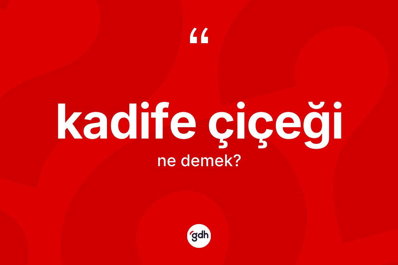 Kadife çiçeği kelimesinin anlamı nedir?
