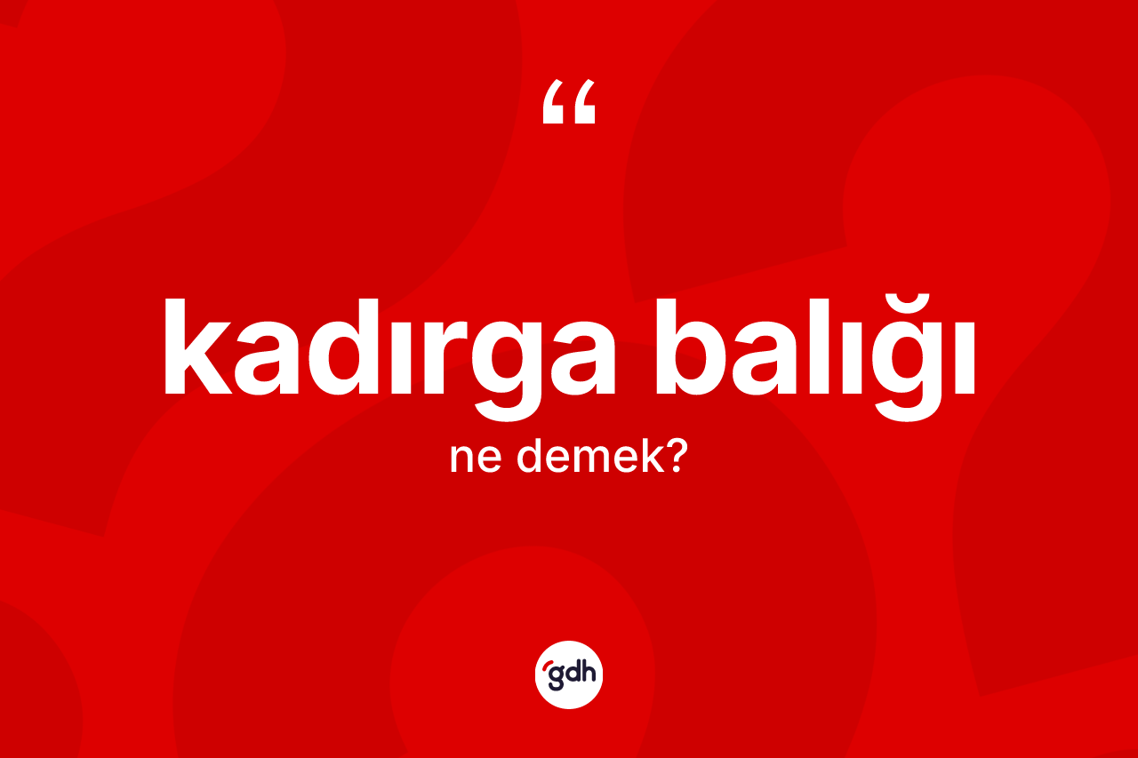 Kadırga balığı ne demek?