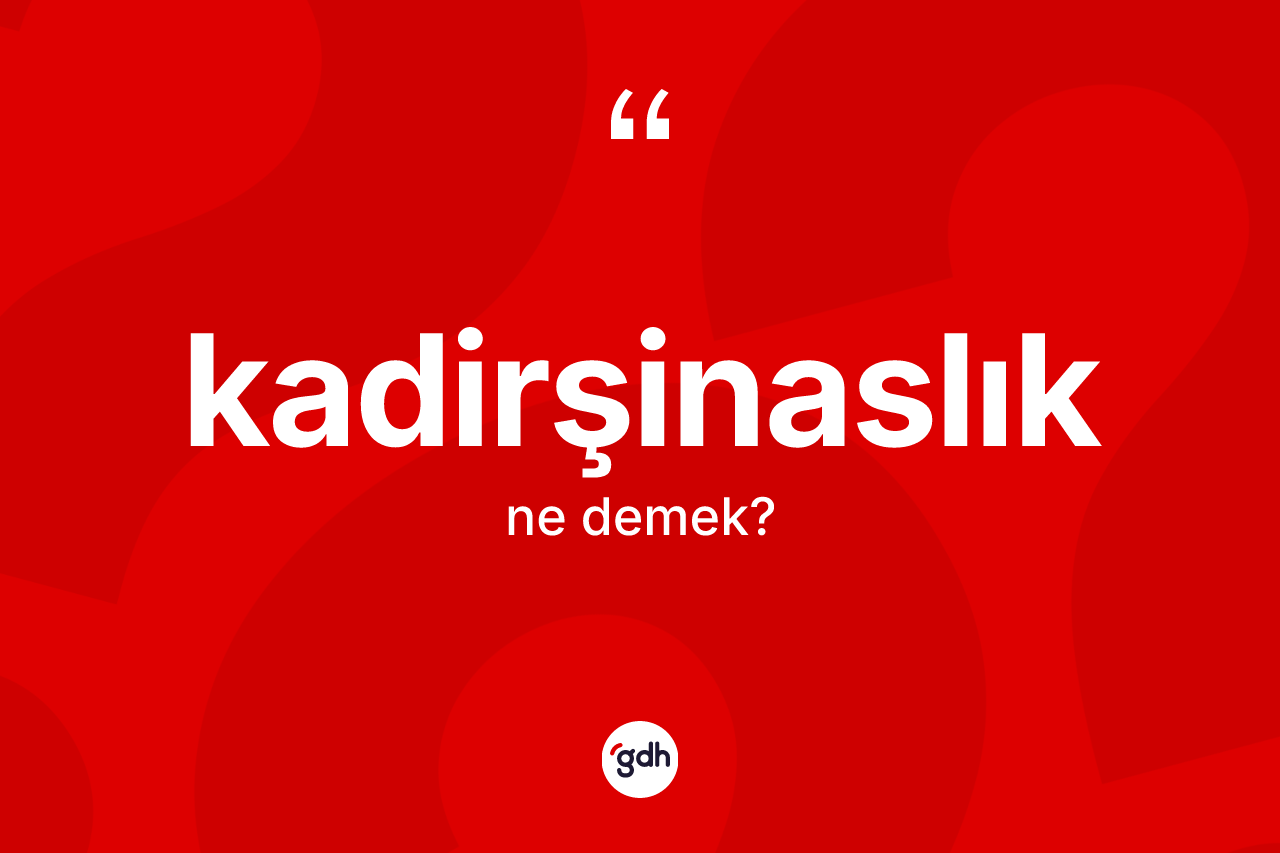 Kadirşinaslık ne demek? Kadirşinaslık kelimesinin TDK anlamı nedir?