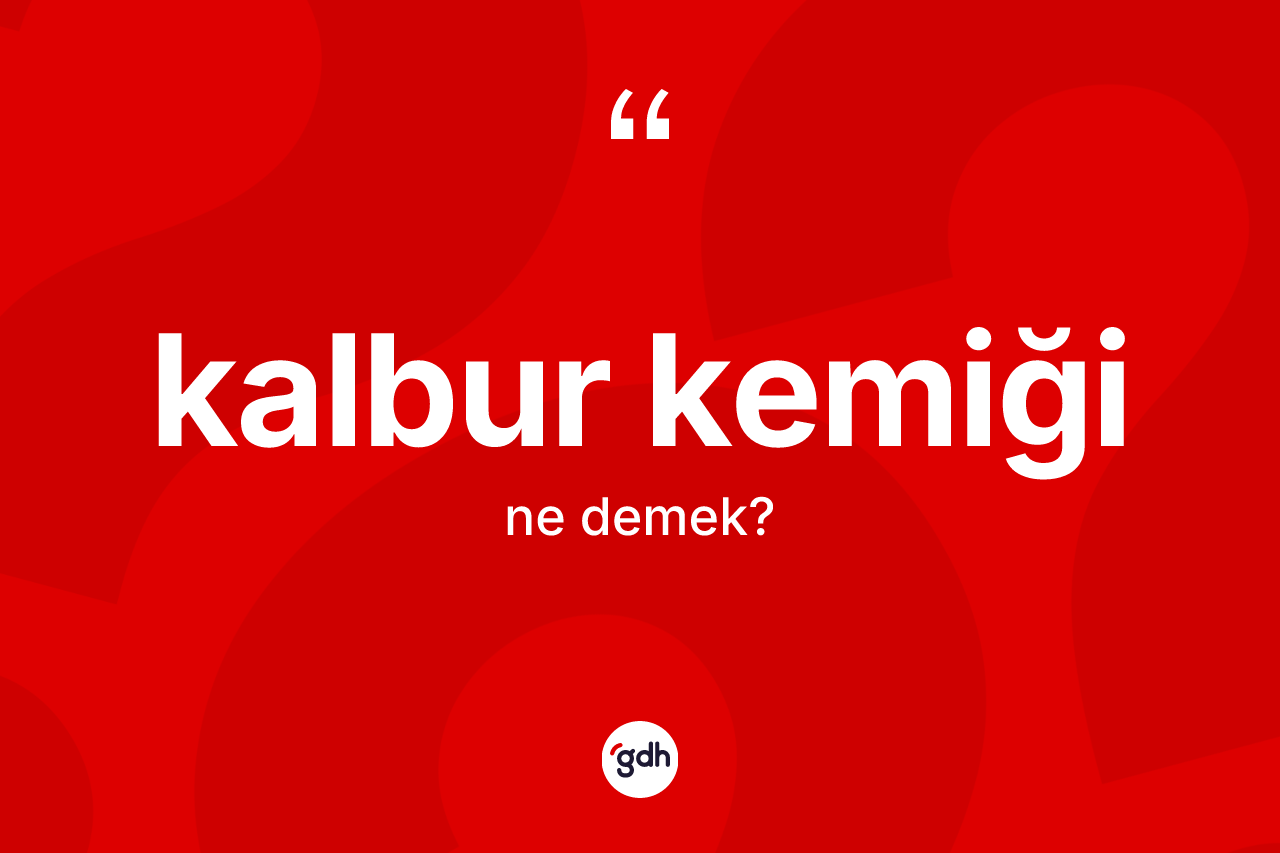 Kalbur kemiği kelimesi nedir? Kalbur kemiğinin sözlükteki anlamı nedir?
