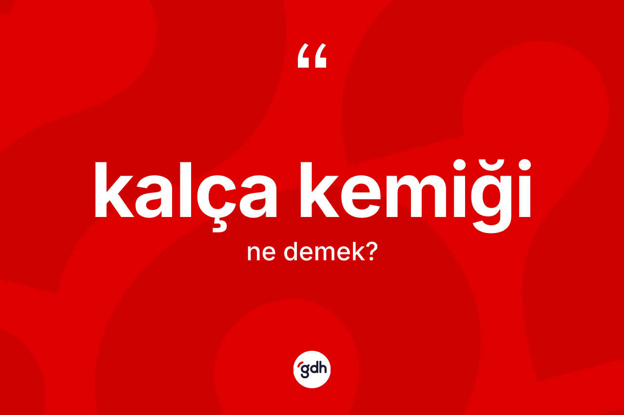Kalça kemiği nedir?