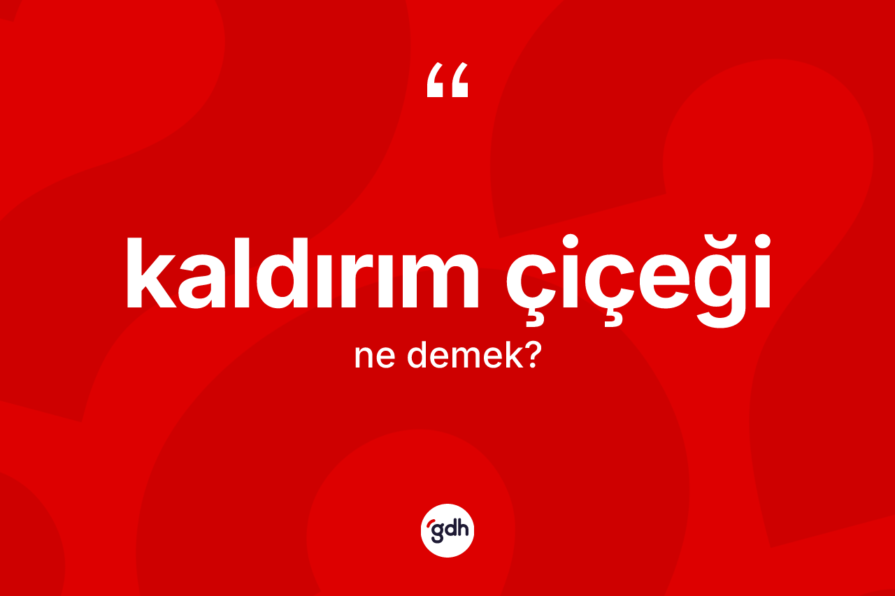 Kaldırım çiçeği kelimesinin sözlükteki tanımı nedir? Kaldırım çiçeği kelimesinin TDK anlamı nedir?