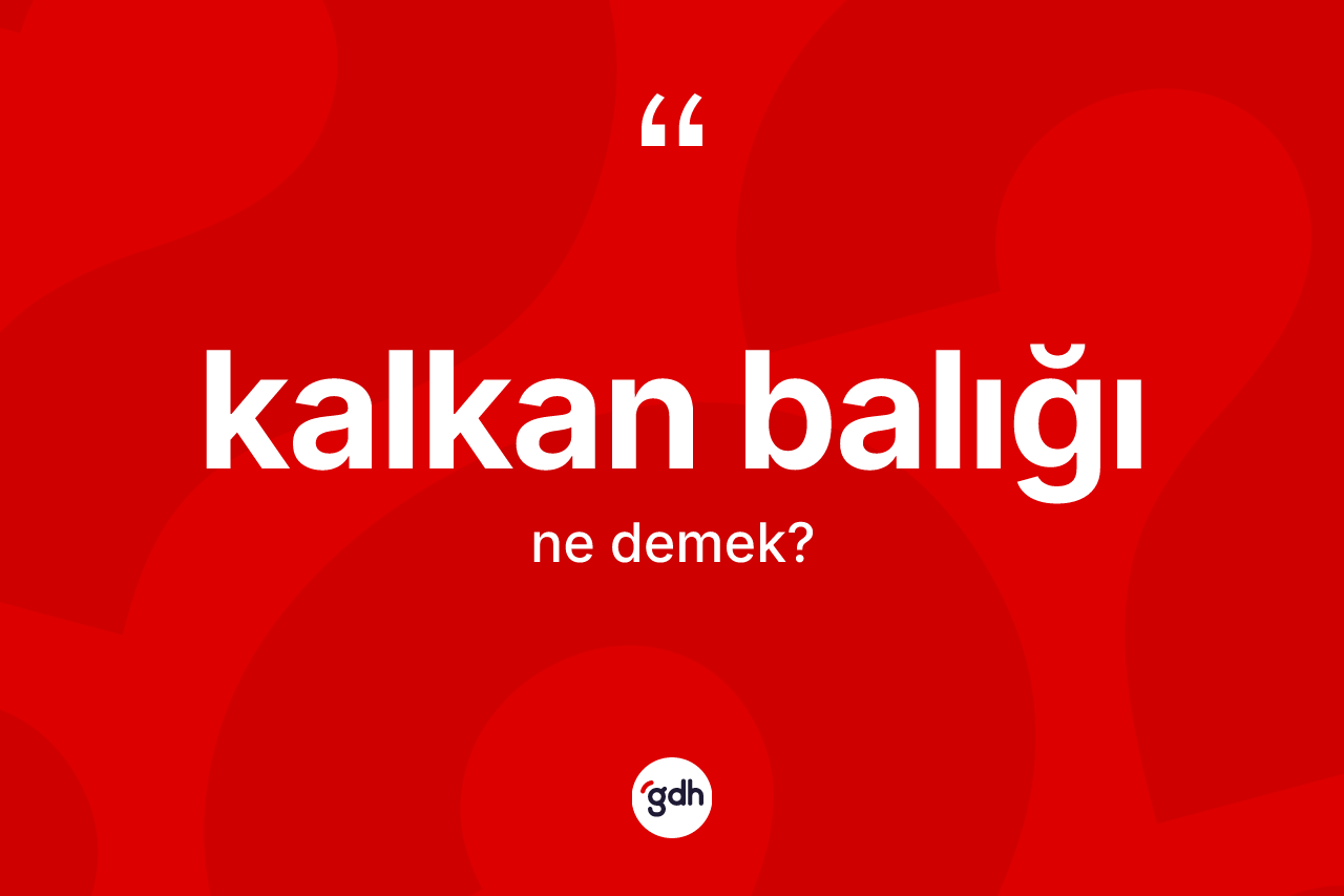 Kalkan balığı kelimesinin sözlükteki tanımı nedir? Kalkan balığı kelimesinin kaç farklı anlamı var?