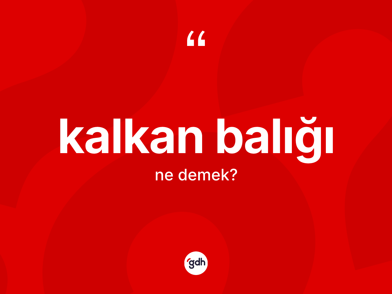 Kalkan balığı kelimesinin sözlükteki tanımı nedir? Kalkan balığı kelimesinin kaç farklı anlamı var?