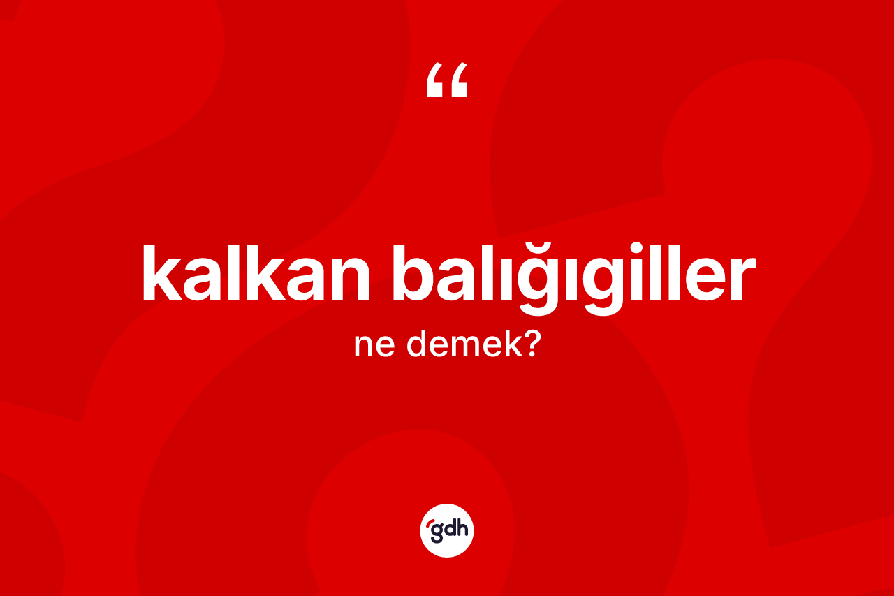 Kalkan balığıgiller kelimesinin anlamı nedir?