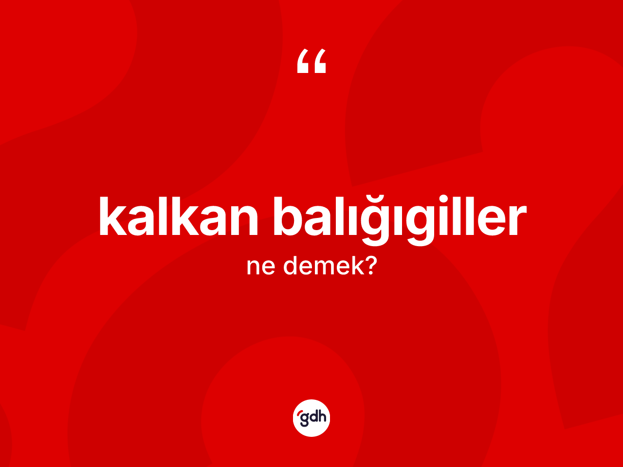 Kalkan balığıgiller kelimesinin anlamı nedir? Kalkan balığıgillerin sözlükteki anlamı nedir?