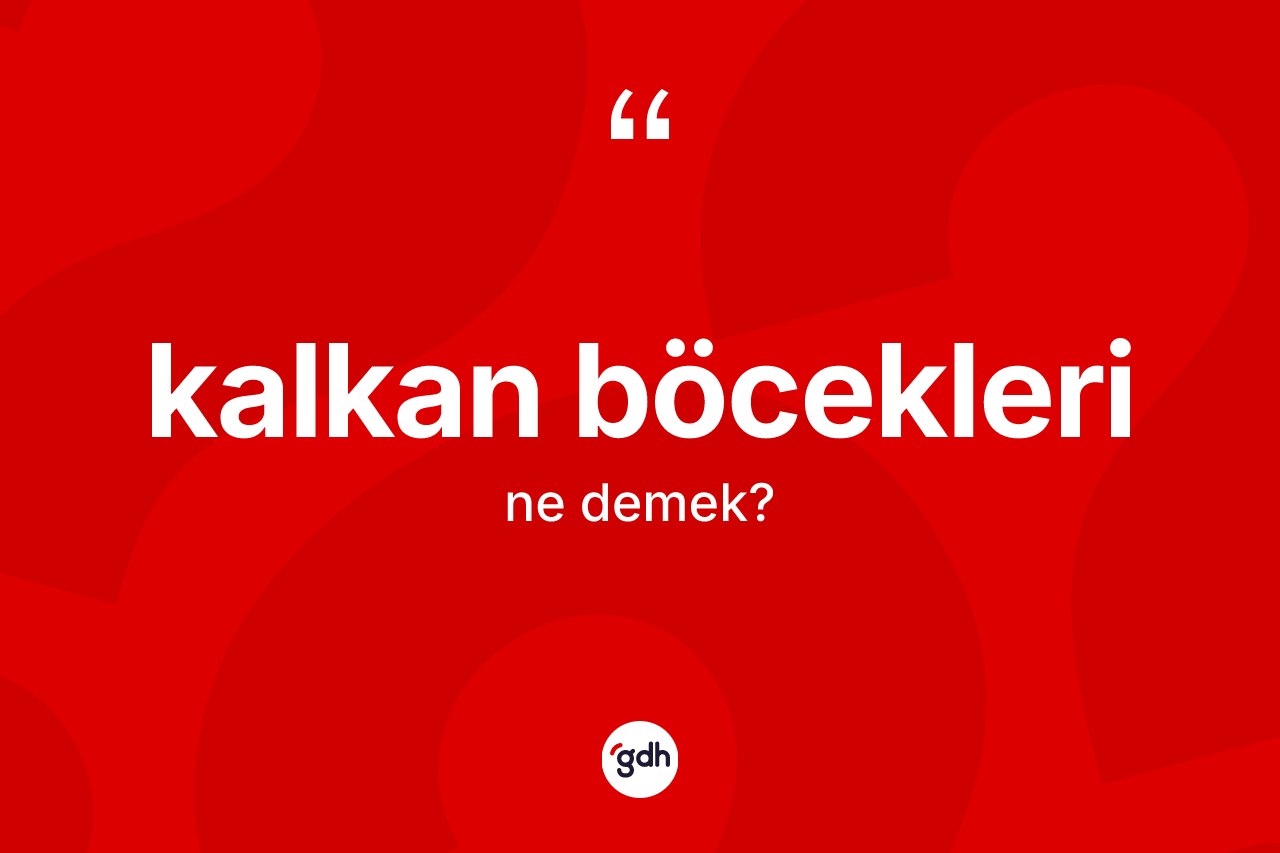 Kalkan böcekleri kelimesinin tanımı nedir?