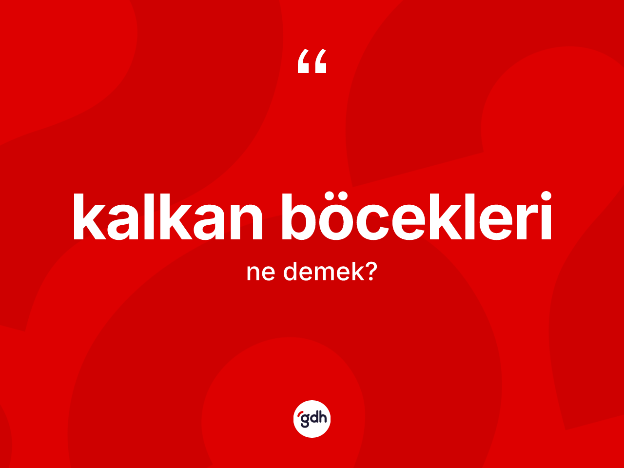 Kalkan böcekleri kelimesinin tanımı nedir? Kalkan böcekleri kelimesinin TDK'ya göre açıklaması nedir?