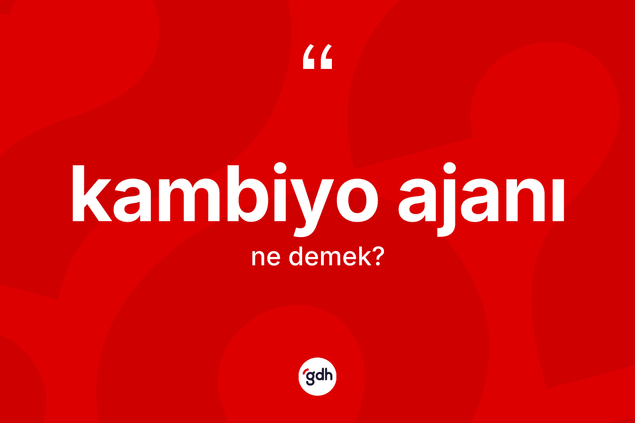 Kambiyo ajanı kelimesi ne anlama gelir? Kambiyo ajanı kelimesinin TDK'ya göre açıklaması nedir?