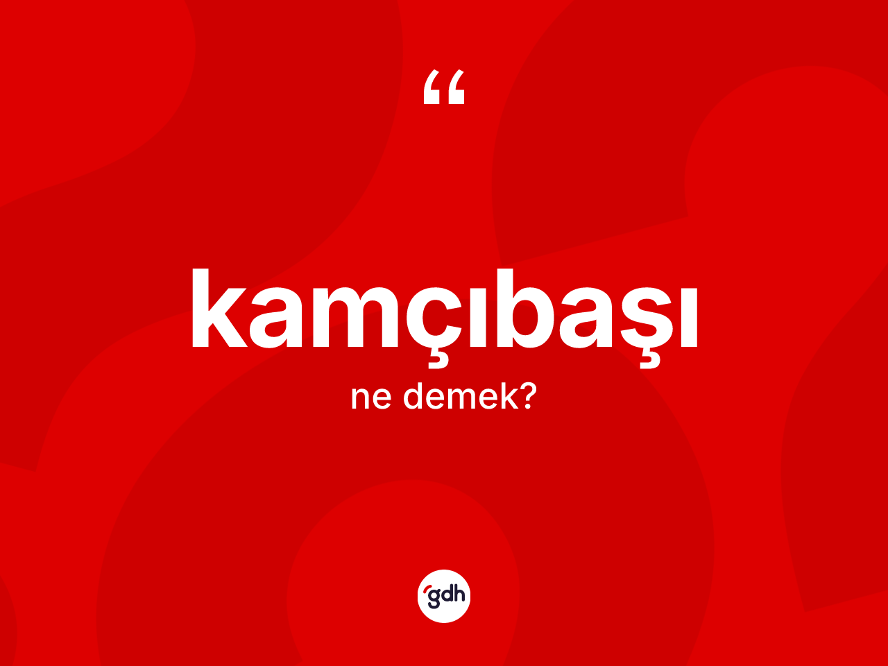Kamçıbaşı kelimesinin anlamı nedir? Kamçıbaşının TDK'ya göre anlamı nedir?